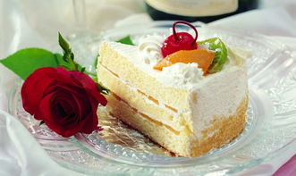 索爱烘焙产品介绍与最新资讯