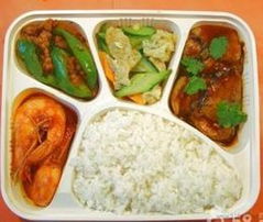 学校食堂承包全攻略 供应信息、批发渠道与价格参考